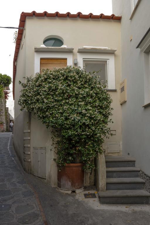 Вилла Casa Piccola By Capri 5 Senses Экстерьер фото